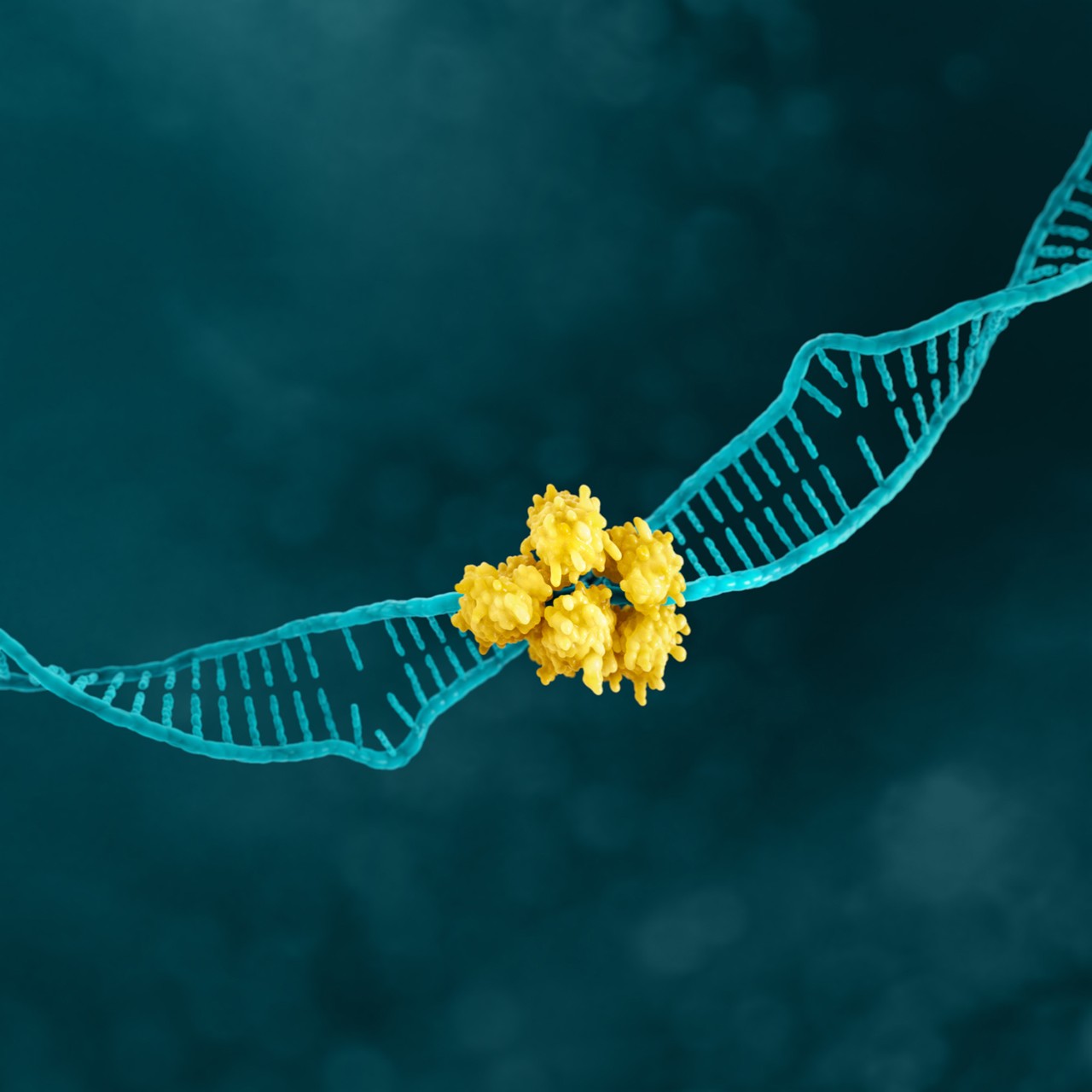 MSI gastric cancer biomarker