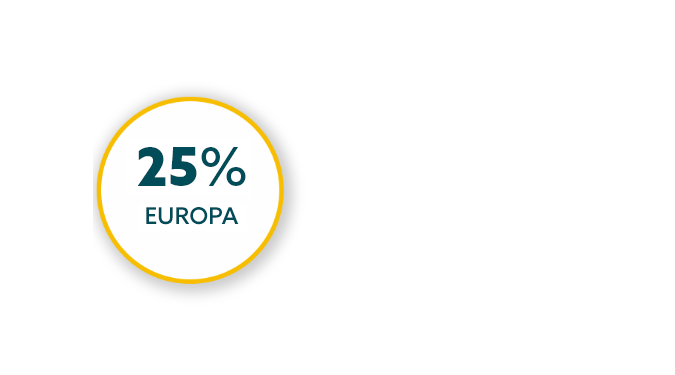 26% Europe